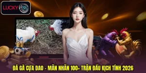Đá Gà Cựa Dao - Mãn Nhãn 100+ Trận Đấu Kịch Tính 2026