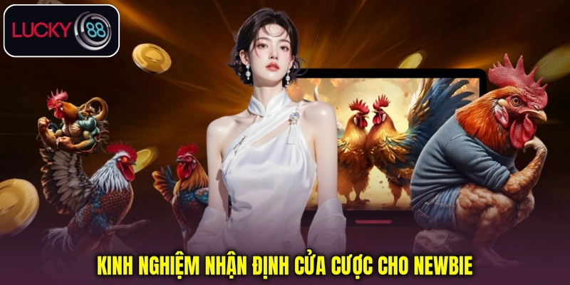 Kinh nghiệm nhận định cửa cược cho người mới