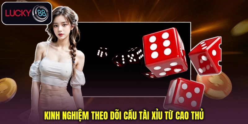 Kinh nghiệm theo dõi cầu Tài Xỉu Kinh nghiệm theo dõi cầu Tài Xỉu